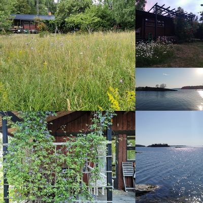 Bild 4 på Mysig stuga på Rådmansö
