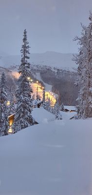 Fjällstuga i Höglekardalen/Hovde - Bild 11