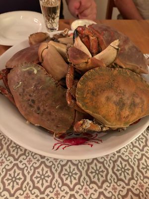 Uthyres stuga Hamburgö på Sveriges västkust - Bild 9