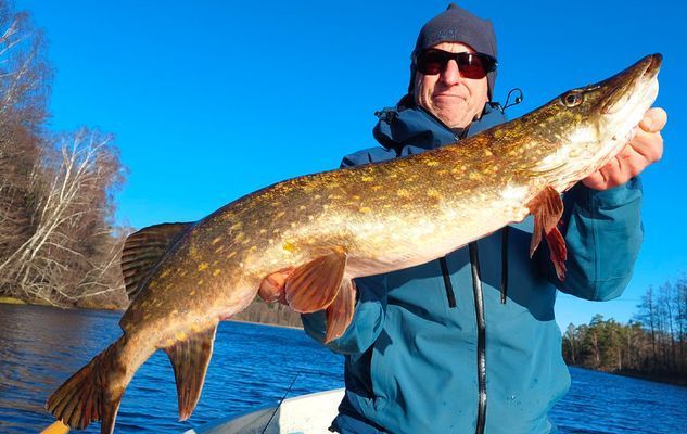 Bo på idyllisk bondgård | Nära sjö med fri båt - Bild 25