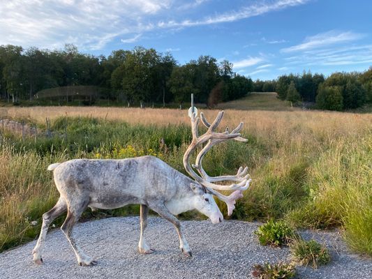 Mysig stuga i Ramundberget, Osthang - Bild 20