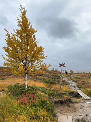Mysig stuga i Ramundberget, Osthang - Bild 16