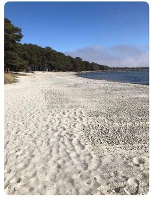 Rymlig gästbostad 3 sovrum vid havet och naturen - Bild 23