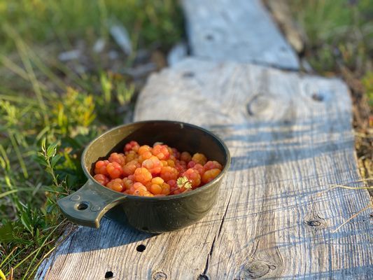 Mysig stuga i Ramundberget, Osthang - Bild 19