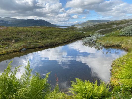 Mysig stuga i Ramundberget, Osthang - Bild 17