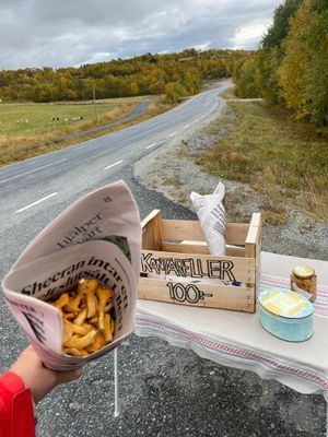 Mysig stuga i Ramundberget, Osthang - Bild 18