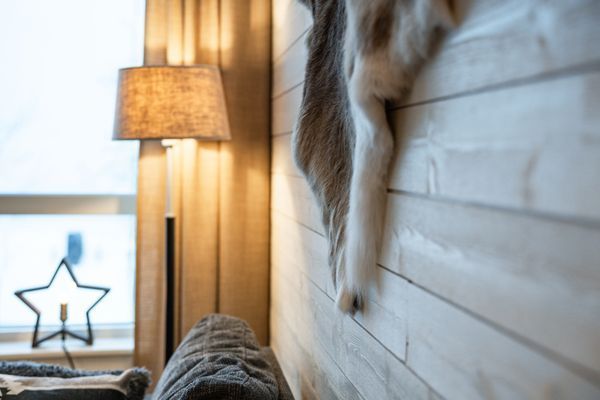 Hyr denna stuga i Åre på 76 m². 6 sängplatser. 8 500 - 30 000 kr per vecka. Se bilder och tillgänglighet här.