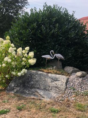 Äkta torp på Blekinge Hasslö - Bild 18