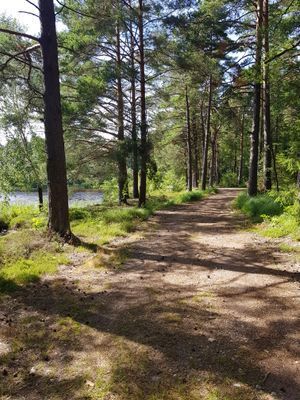 Charmig sommaridyll - Bild 15