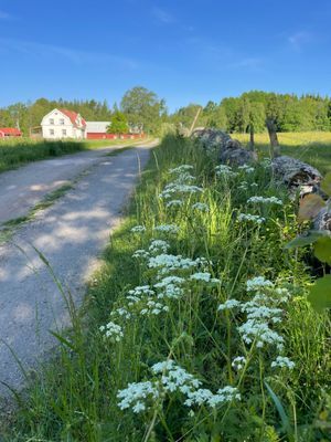 Lantlig idyll!