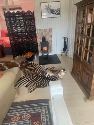 Sekelskiftsvilla - Bild 10