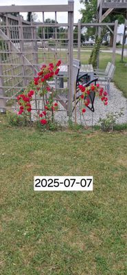 Modernt hus i När, Gotlands sydöstra kust. - Bild 8