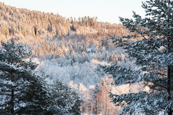 Bekväma torpet i Sjö, fint hus med enskilt läge - Bild 15