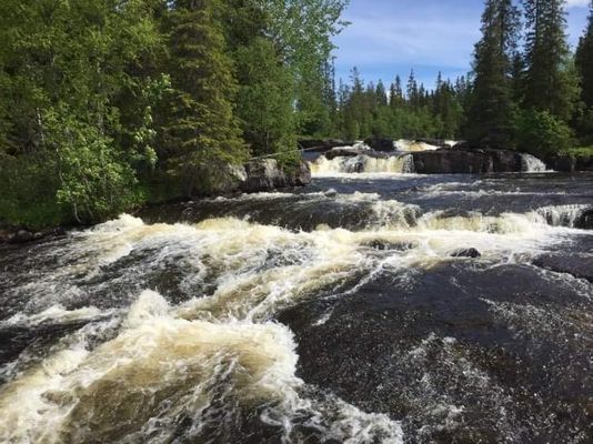 Fjätfallet