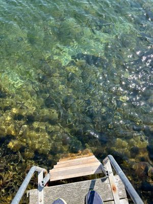 Mysig stuga i Bohuslän - Bild 16