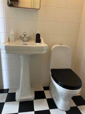 Familjehus på sydkusten, Bingsmarken, nära Ystad - Bild 10
