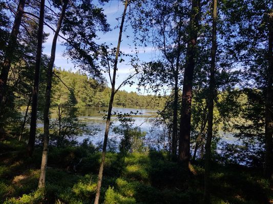 Charmig sommaridyll - Bild 19