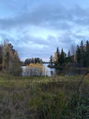 Stort hus med bastu, båt, brygga och sjöutsikt! - Bild 8