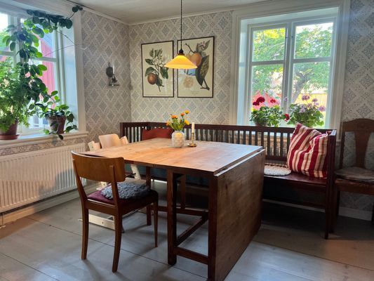 Mysig Ölandsgård på lugn radbygata - Bild 9