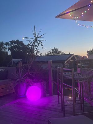 Stort strandnära sommarhus med härlig trädgård - Bild 41