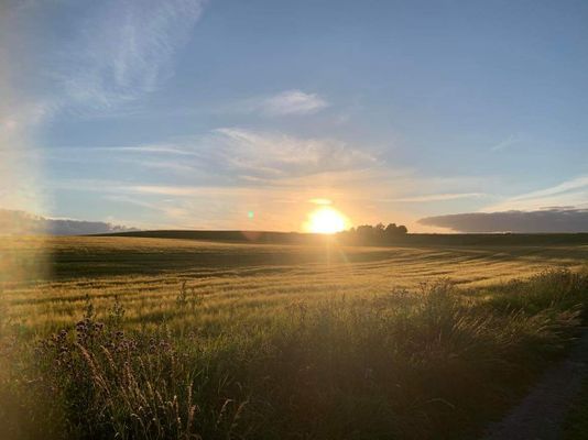 Snårestad b&b - Bild 7