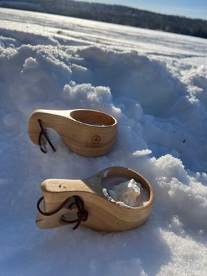 Stuga med fjäll- och sjöutsikt, bastu, och kamin - Bild 41
