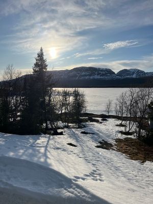 Stuga med fjäll- och sjöutsikt, bastu, och kamin - Bild 42