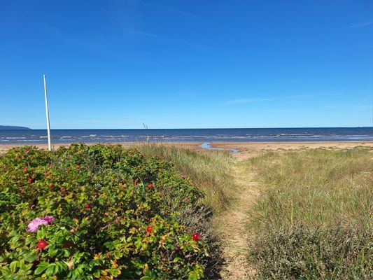 Stuga med perfekt läge nära havet - Bild 25
