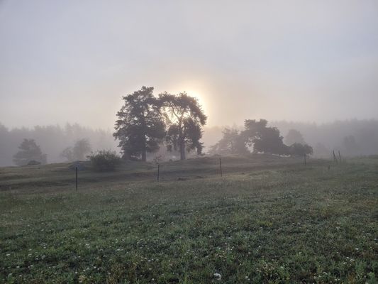 Bild 3 på Charmig lägenhet i äldre stil på hästgård