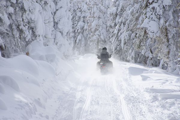 Mysigt fjällhus i Jämtland - Bild 17