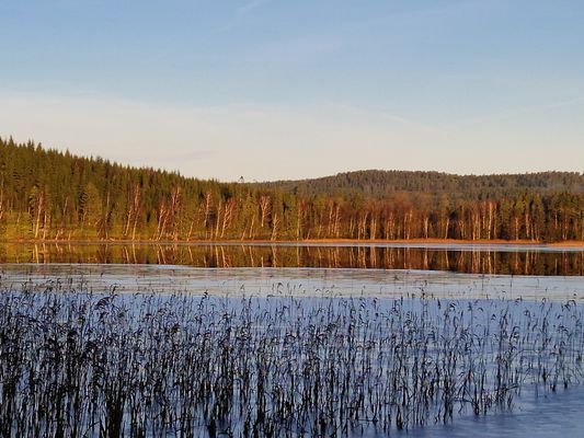 Nackeloftet - en mysig timmerstuga i Dalsland - Bild 30