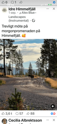 Vackert parhus i Idre Himmelfjäll med bastu - Bild 35