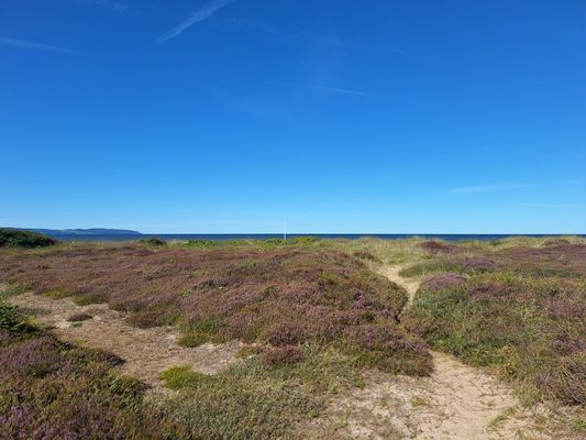 Stuga med perfekt läge nära havet - Bild 24