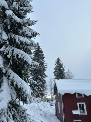 Mysig fjällstuga med ski-in/ski-out 🏔️ - Bild 21