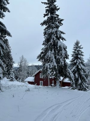 Mysig fjällstuga med ski-in/ski-out 🏔️ - Bild 22