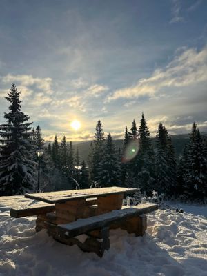 Mysig fjällstuga med ski-in/ski-out 🏔️ - Bild 25