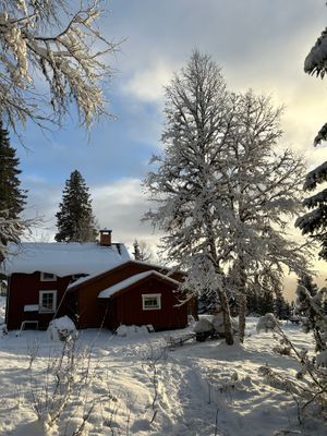 Mysig fjällstuga med ski-in/ski-out 🏔️ - Bild 19