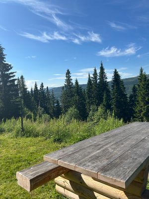 Mysig fjällstuga med ski-in/ski-out 🏔️ - Bild 29