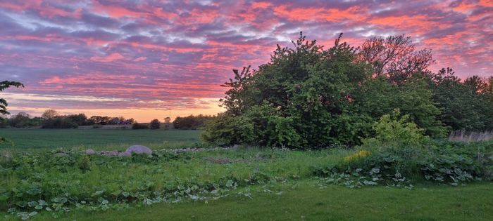 Stuga på Österlen - Bild 21