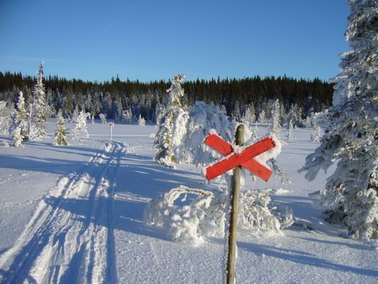 Mängder av fjällleder