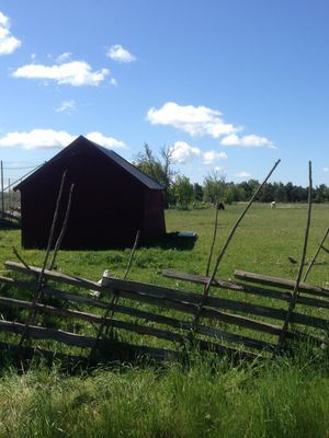 Stenvillan - Bild 19