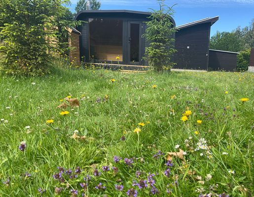 19 bäddar 3 hus inkl Pool/Bastustuga Sandvik Öland - Bild 30