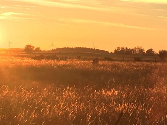 Semesterstuga på fantastiska Öland! - Bild 19