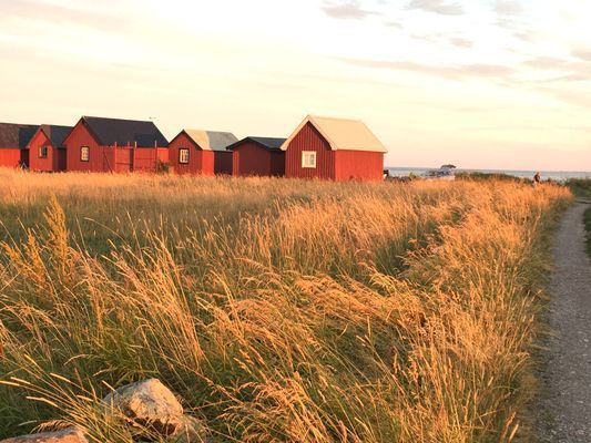 Semesterstuga på fantastiska Öland! - Bild 20