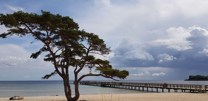 Stuga vid Havet -Åhus Bryggan - Bild 12