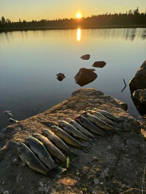 Stuga i Högvålen, Sveriges högst belägna by - Bild 6
