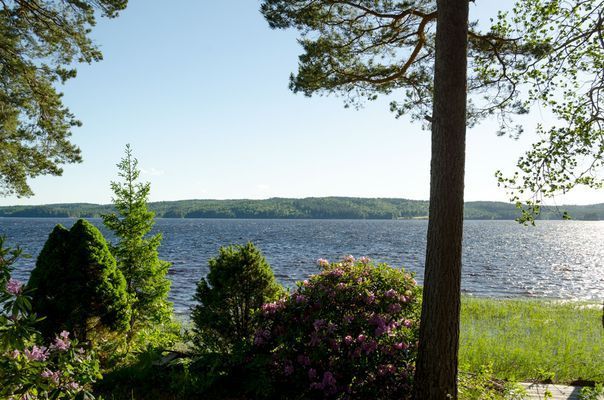 Strandstuga direkt vid sjökanten - Bild 19