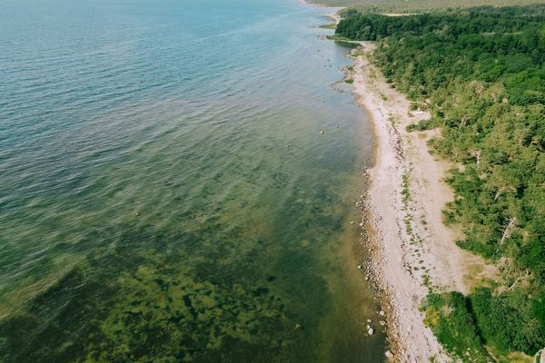 Stort hus vid havet 1 mil norr om Visby - Bild 17