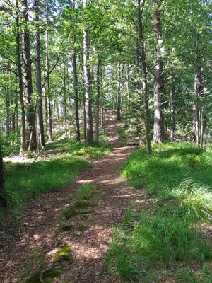 Charmig sommaridyll - Bild 22