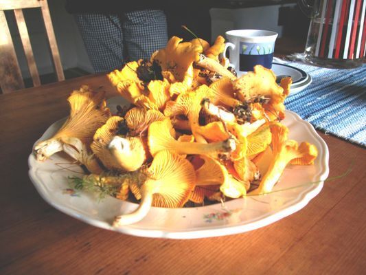 Bild 4 på Sommarvilla på landet vid Varekil/Orust | SE09062